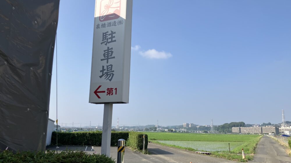 裏手にある一面緑の水田の写真